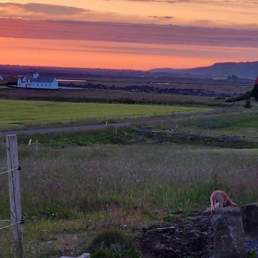 Cosy Cottage In The Countryside Thingeyjarsveit Экстерьер фото